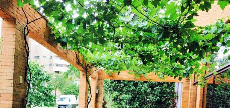 Vin Bistro inaugura oyster bar, um bar de ostras ao ar livre O caramanchão do Vin Bistro, com os cachos de uva crescendo e compondo o lindo ambiente externo do restaurante. (Fotos/ Divulgação)
