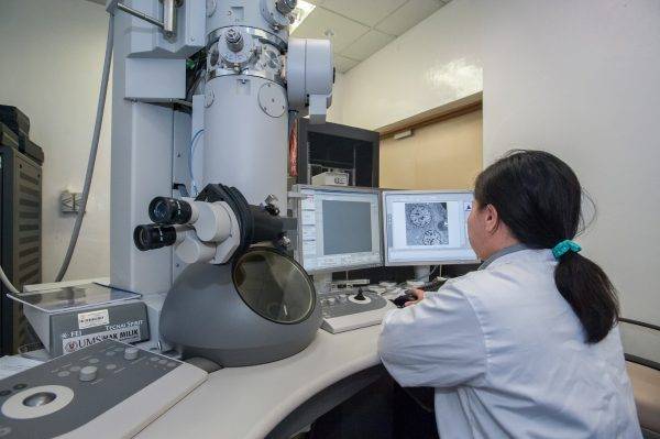 Nada é mais fascinante no mundo da tecnologia que a computação na medicina