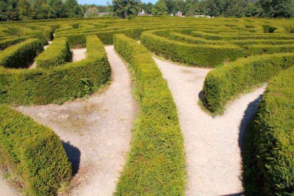 Maior labirinto europeu em Castlewellan, na Irlanda.