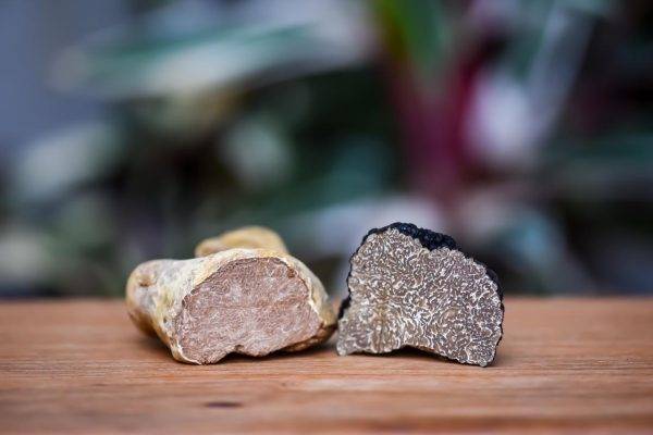 As trufas branca e negra já estão sendo servidas aos clientes da Tartuferia San Paolo em Curitiba. (Fotos/ Divulgação)