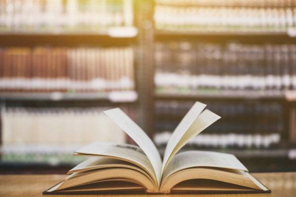 A Teoria da Barsa e o futuro da Educação