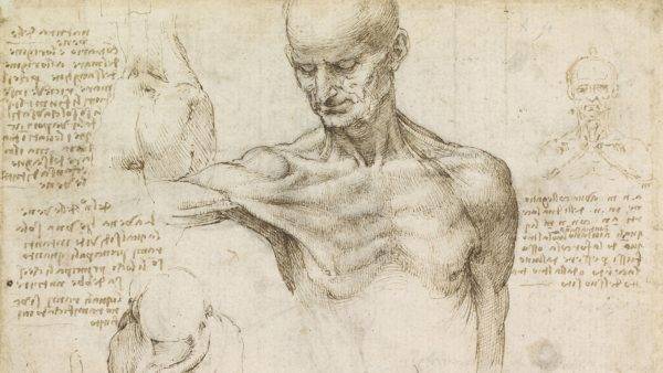 Acredite, Leonardo da Vinci teve muito menos problemas para aprender sobre o corpo humano do que as lendas dizem por aí. (Imagem: Wikimedia Commons)