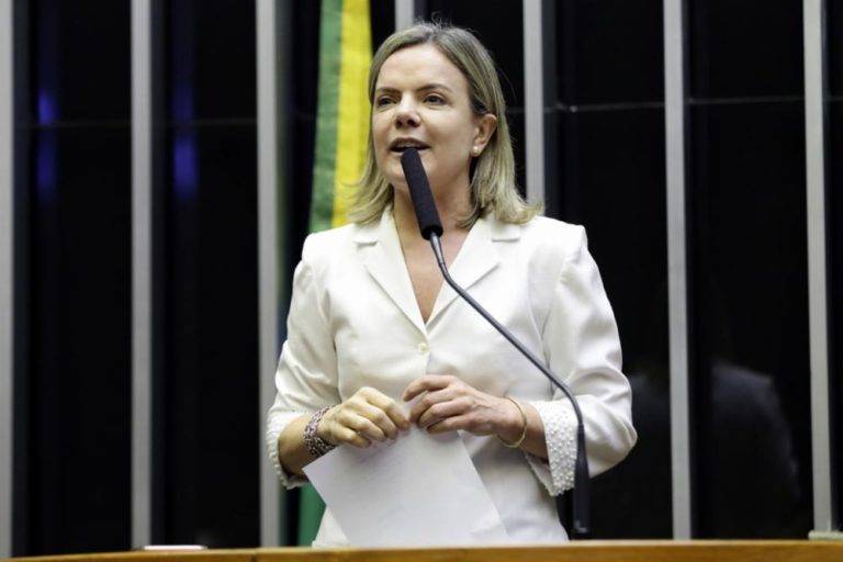 Minoria dos deputados paranaenses é contra reforma. Mas são eles que mais falam Gleisi Hoffmann (PT) (Foto: Najara Araújo/Câmara dos Deputados)