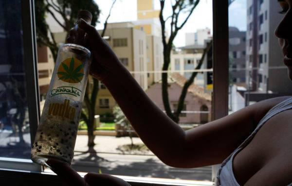 Alexandre Garcia discute se importar semente de maconha pela internet é crime. Sementes de maconha importadas pela internet são utilizadas até mesmo em vodkas compradas na Europa. Foto: Antonio Costa / Gazeta do Povo