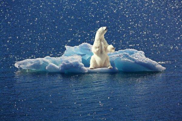 A paz corre risco em um mundo de extremos climáticos e sem recursos naturais